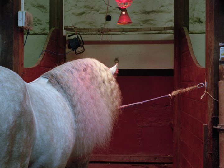ANNOUNCEMENT: FOTOFILMIC16 SELECTED ARTISTS