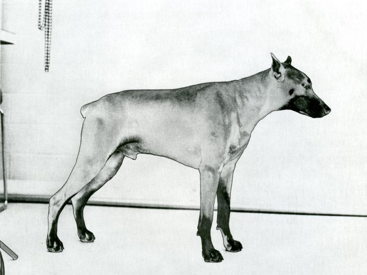 FILM TALKS #30: JONATHAN SADLER (USA)