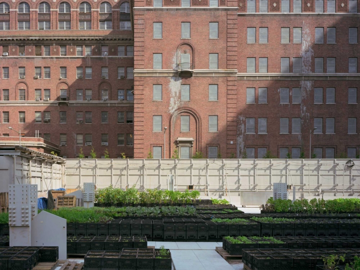 FILM TALKS #35: ROB STEPHENSON